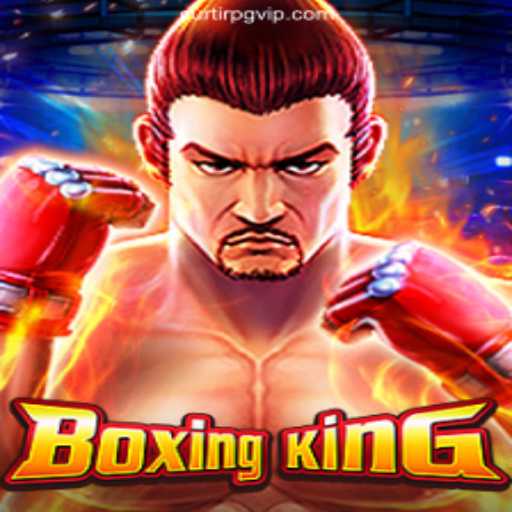 Discover the Thrills of BoxingKing at CurtirPG Cassino
